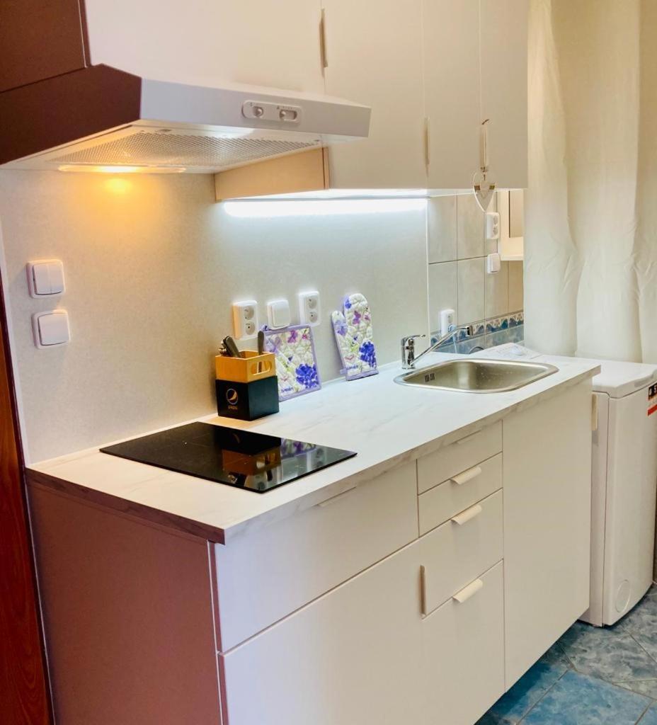 Apartmany, Penzion, Wellness U Zlate Rybky Vyškov Eksteriør bilde